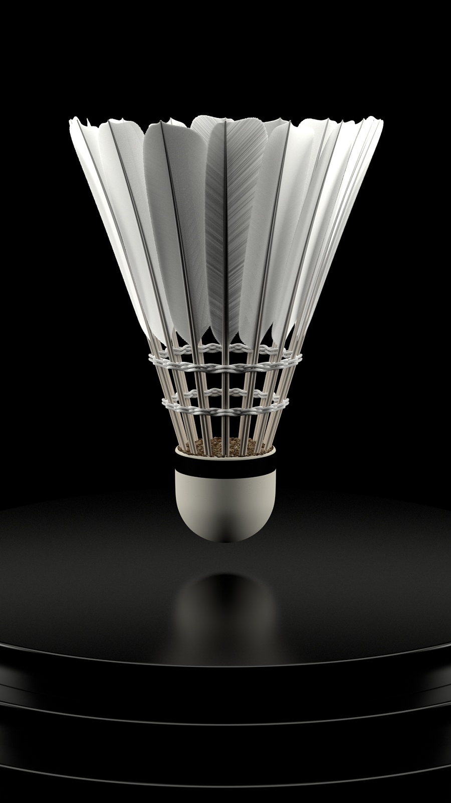 在阵容安排 在阵容安排