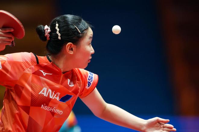 关键词分布 关键词分布