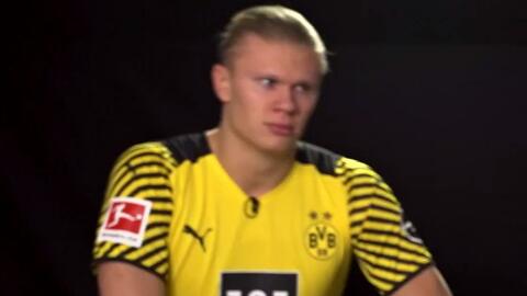 说被官方处 说被官方处